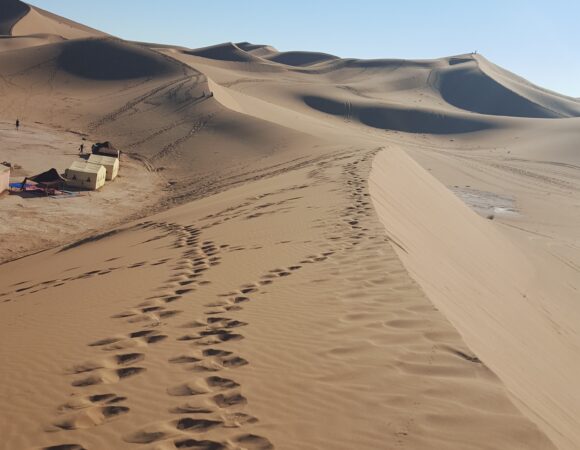 Kamel Trekking 6 Tage/ 5 Nächte