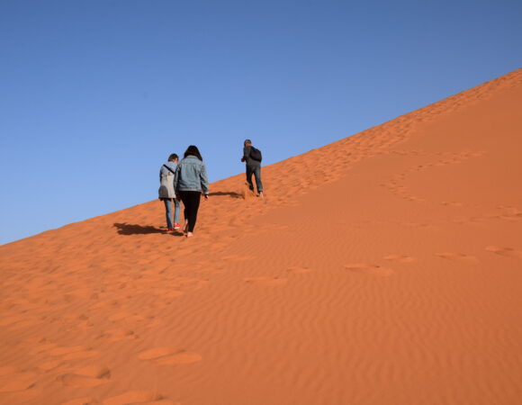 Kamel-Trekking 3 Tage/2 Nächte