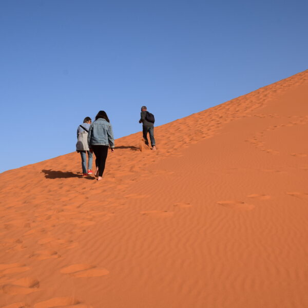 Randonnée à dos de chameau 3 jours/2 nuits